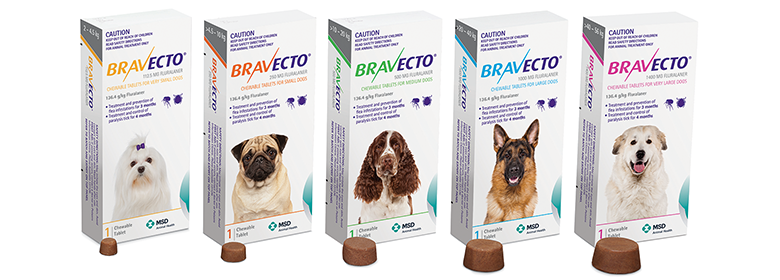 Bravecto People For Animals