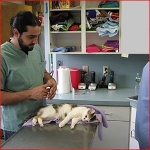 Prep Room. Anesthesia is induced and animals are prepared for surgery here. All vaccinations and other procedures are performed while the animal is anesthetized to decrease pain.